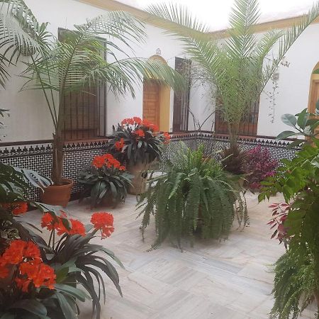 Appartement Casa Tipica Cordobesa à Cordoue Extérieur photo