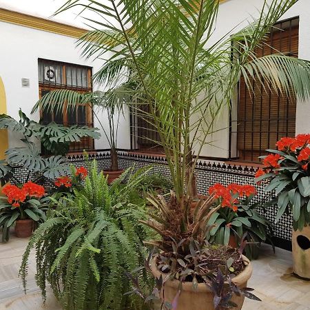 Appartement Casa Tipica Cordobesa à Cordoue Extérieur photo